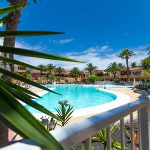 Alicebungalowpoolview-summer Corralejo